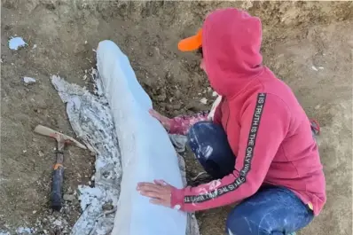 Insólito: encontraron un colmillo de la Era del Hielo en una playa de Miramar