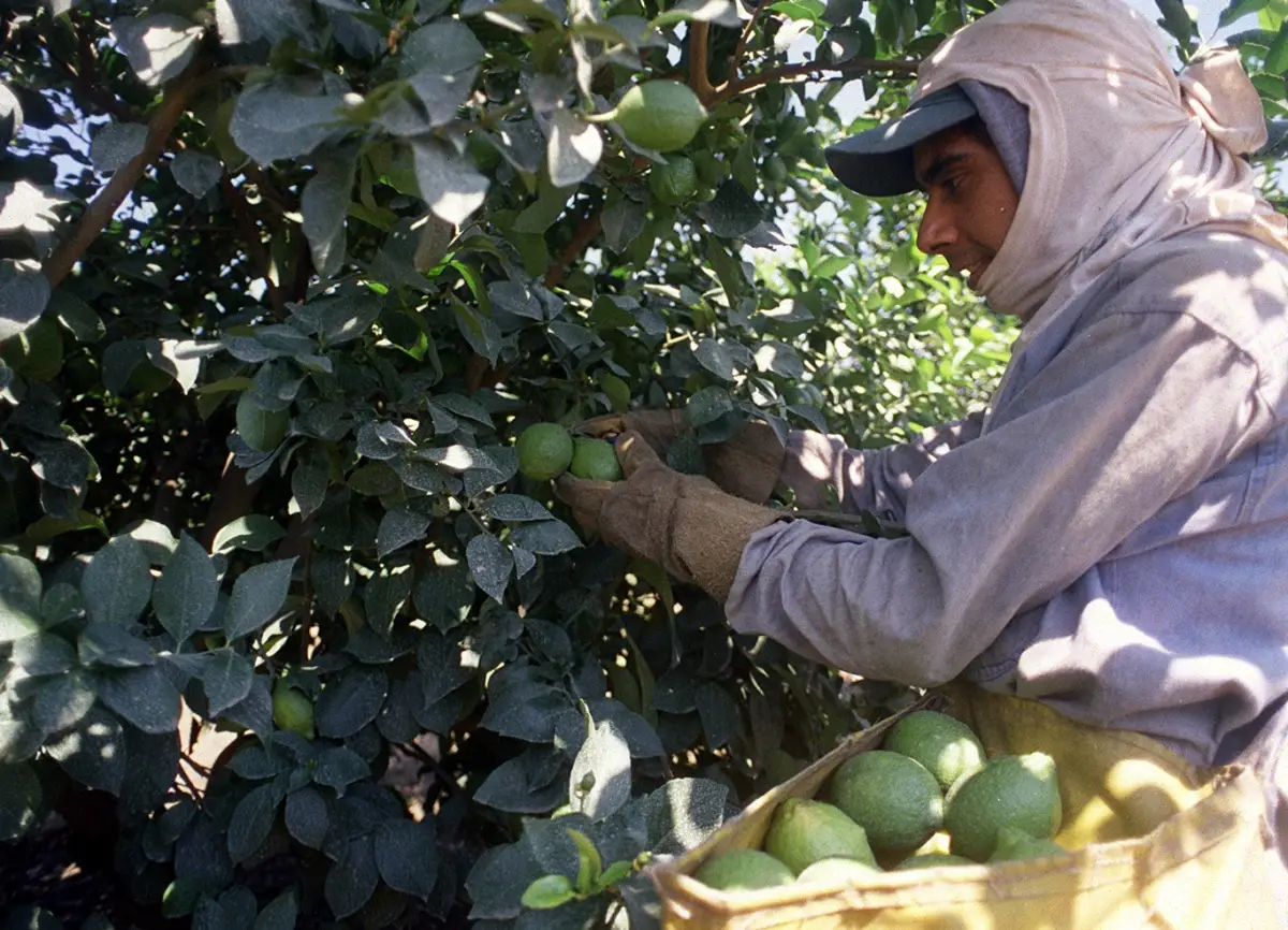 OBJETIVO. La medida anunciada apunta a reforzar el acompañamiento estatal durante los meses sin actividad.