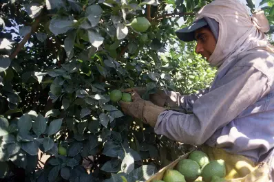 Masso anunció refuerzos para trabajadores rurales temporarios