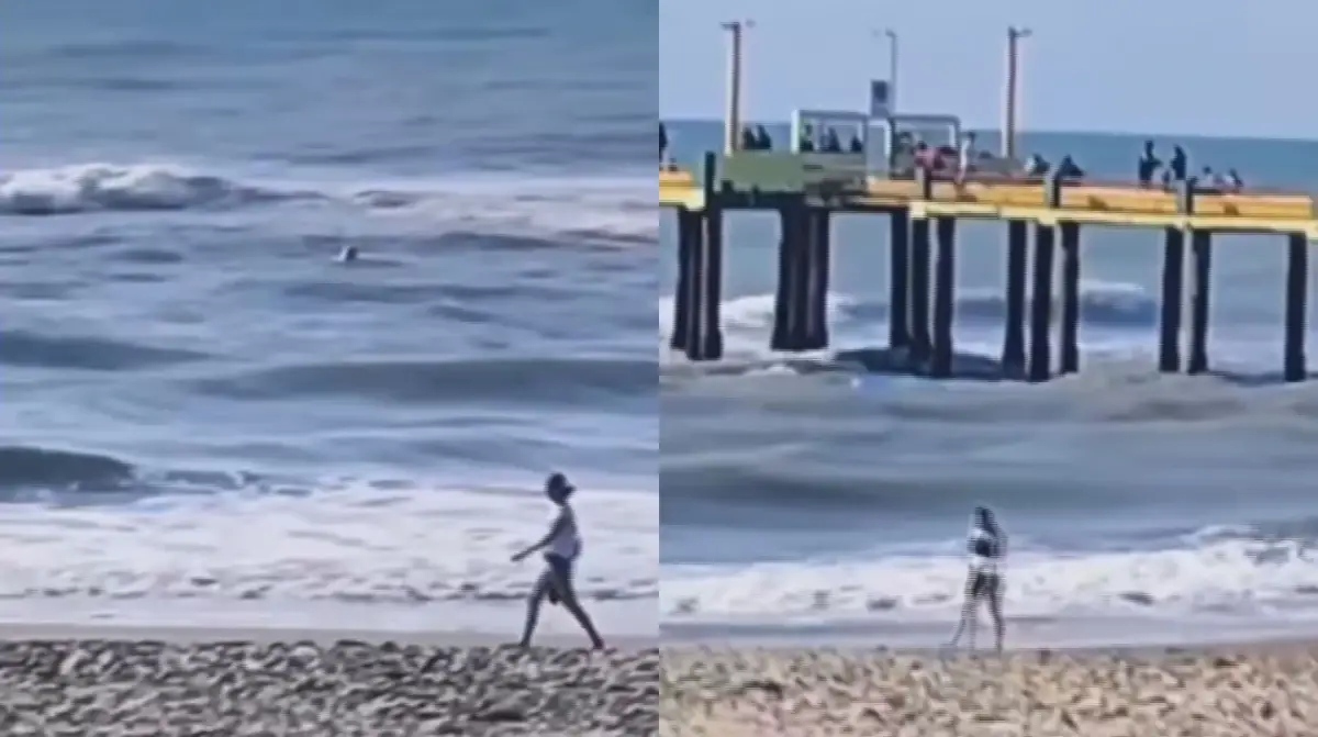 Villa Gesell denunció y apartó a un guardavidas por no rescatar a un kayakista en peligro