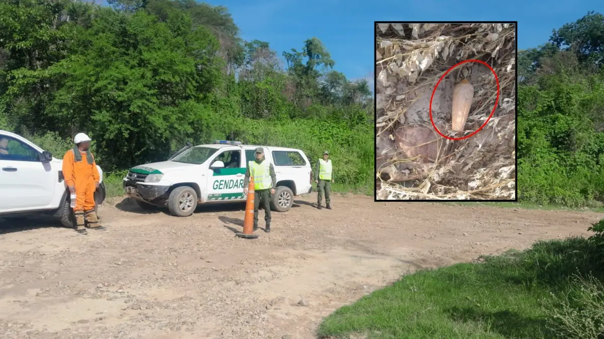 Salta: hallan un artefacto explosivo sísmico en una zona rural