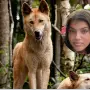 ¿Ojo por ojo?: autoridades australianas anunciaron que sacrificarán a 10 dingos a causa de la muerte de una turista