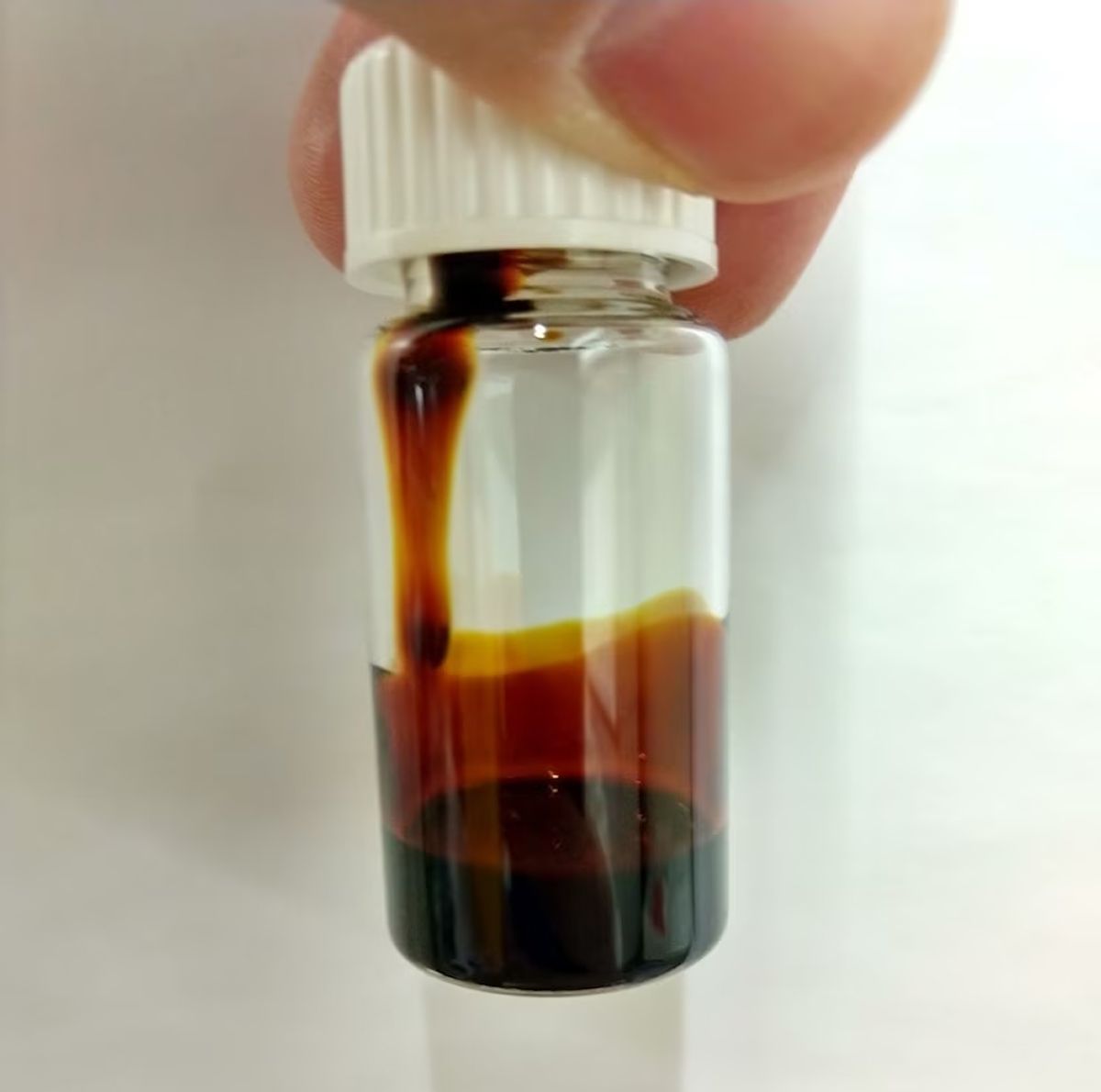 CONICET. Lograron validar en laboratorio un proceso que convierte la yerba mate usada en bioaceite.