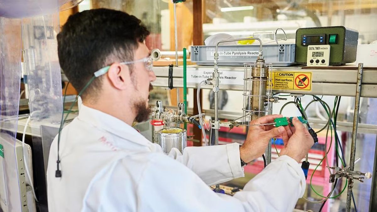 CONICET. En Mendoza, científicos desarrollan un proceso para transformar residuos de yerba en bioaceite renovable.