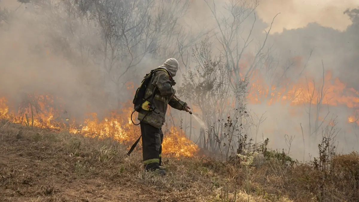 Emergencia ígnea: piden al Congreso que la trate en febrero
