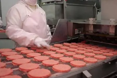 Crisis en la carne: el frigorífico creador de Paty suspendió a 450 trabajadores