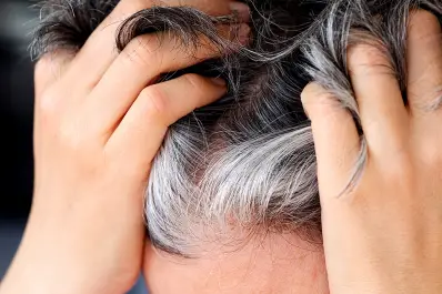 ¿Las canas podrían ser un mecanismo de defensa frente al cáncer?: la repsuesta de la ciencia