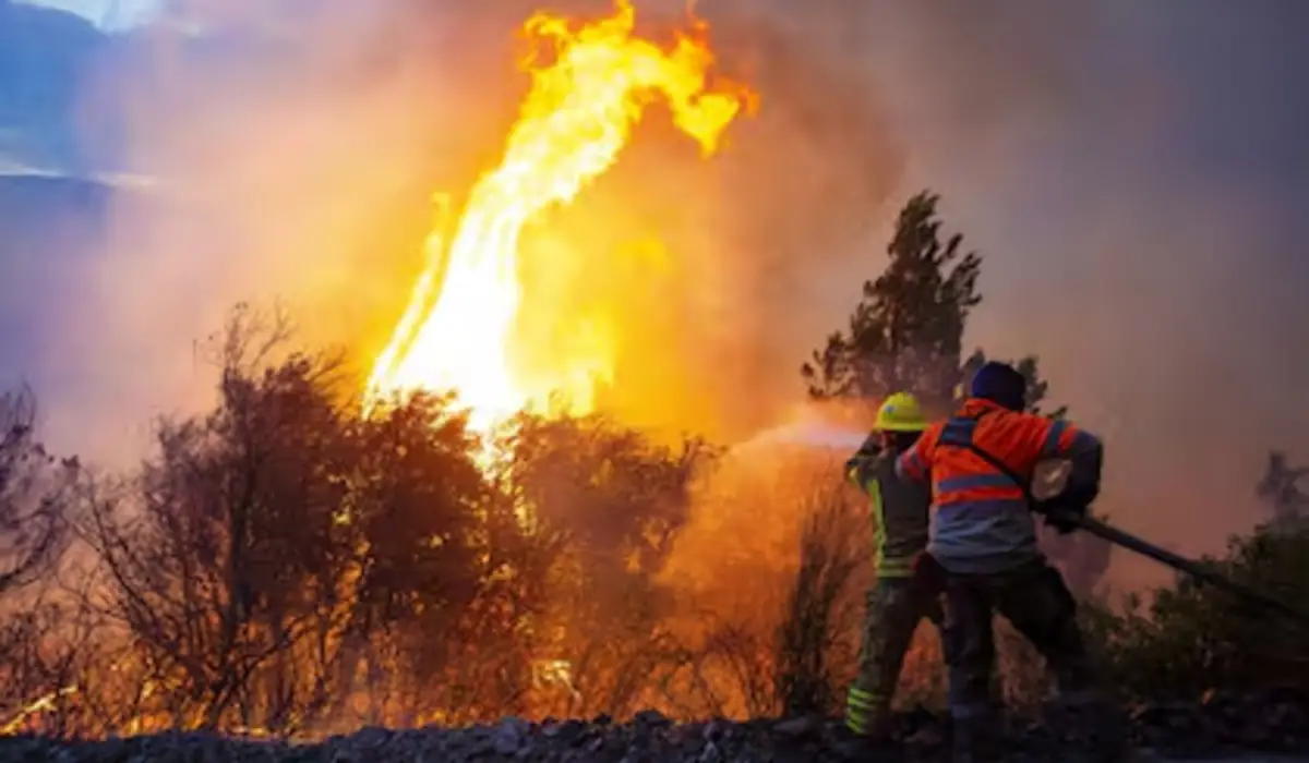 El Gobierno de Milei declaró la emergencia ígnea para las provincias afectadas por los incendios