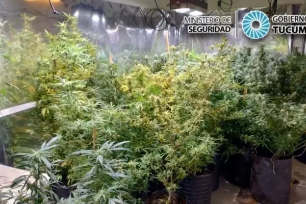 Caso Érika Álvarez: ¿cuáles serían los vínculos del “Militar” Sosa con el narcotráfico?