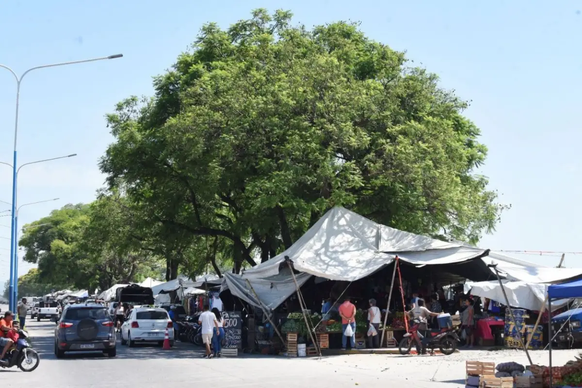 IDEA. El plan de regularización dominial no contempla la erradicación de la feria que allí funciona. la gaceta / fotos de analía jaramillo