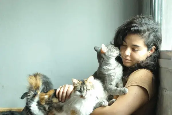 Cierra un histórico refugio felino en Tucumán: la historia de Amores Gatos y los gatos que aún buscan hogar