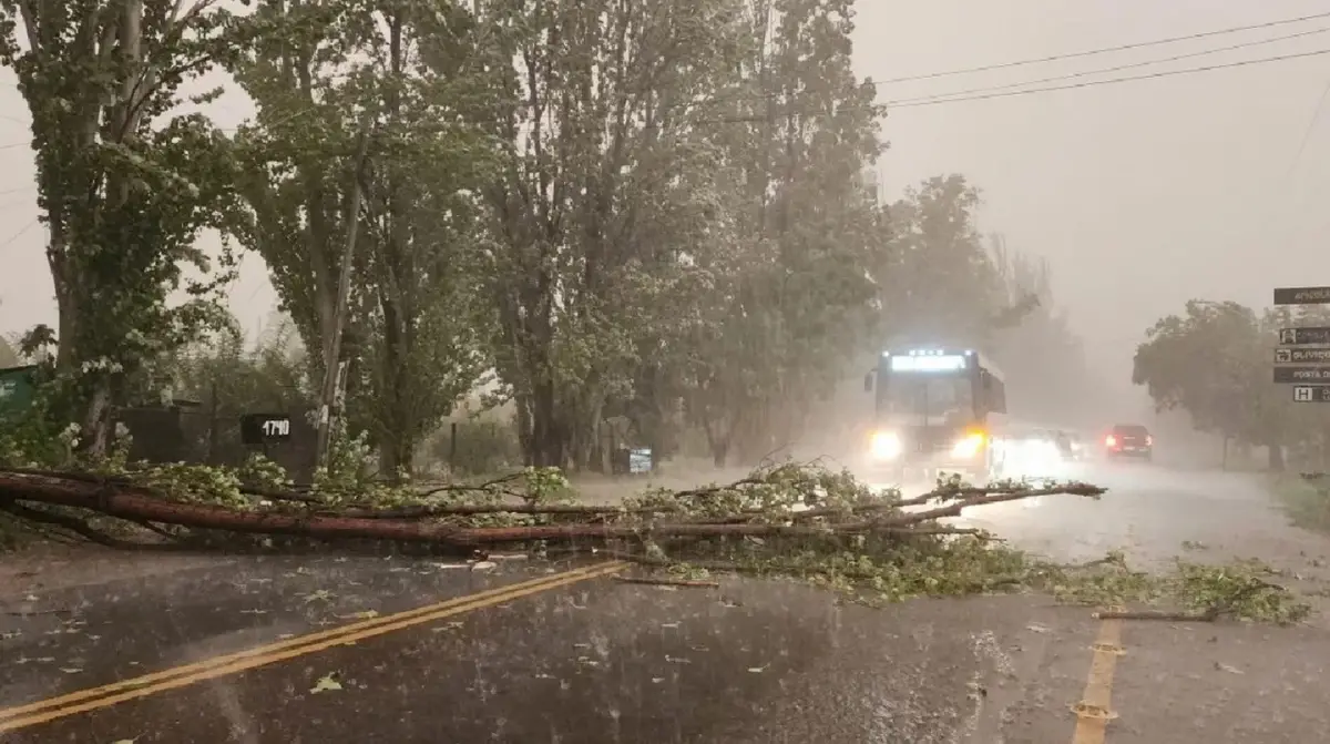 Dos provincias están bajo alerta amarilla por tormentas. Foto: El Sol de Mendoza