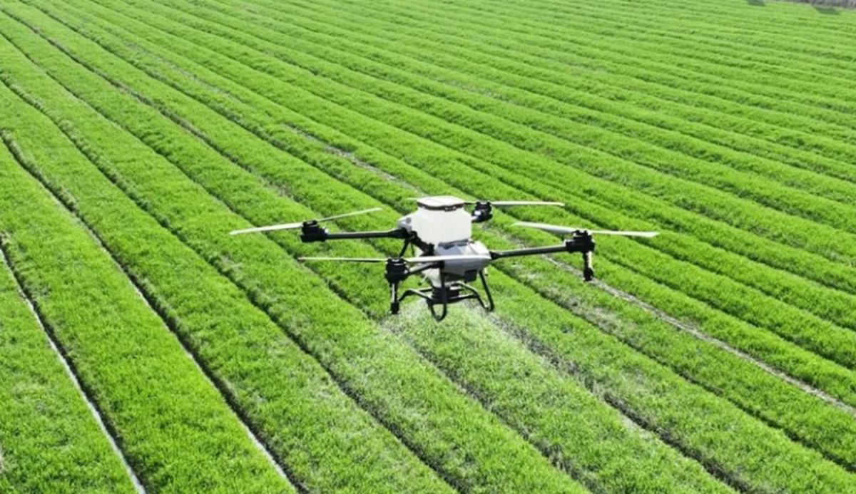 Un nuevo trabajo, que requiere poca capacitación, permite ganar hasta $5 millones por mes