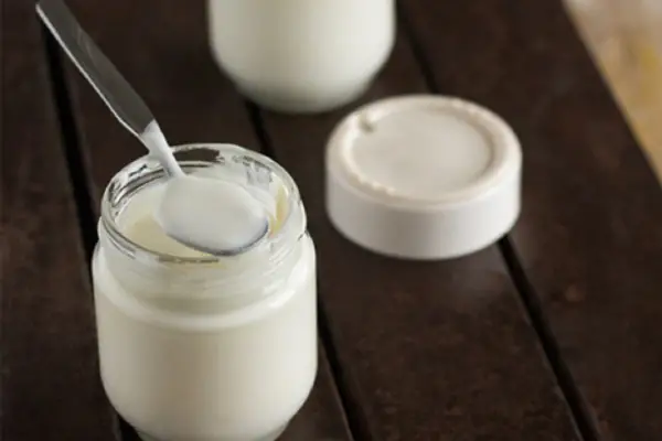 Cómo hacer yogur griego casero paso a paso: simple, económico y saludable