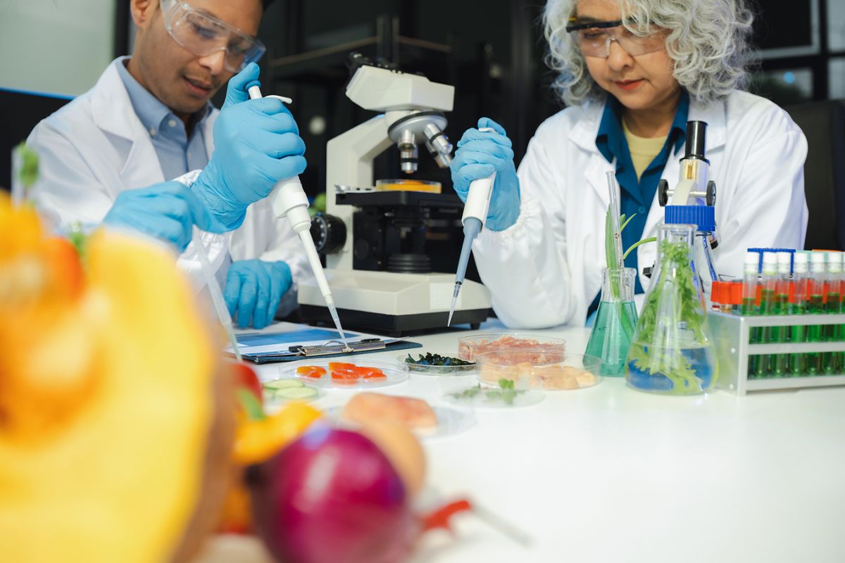 Ingeniería en Alimentos es una carrera que combina conocimientos de ciencias básicas, tecnología y gestión