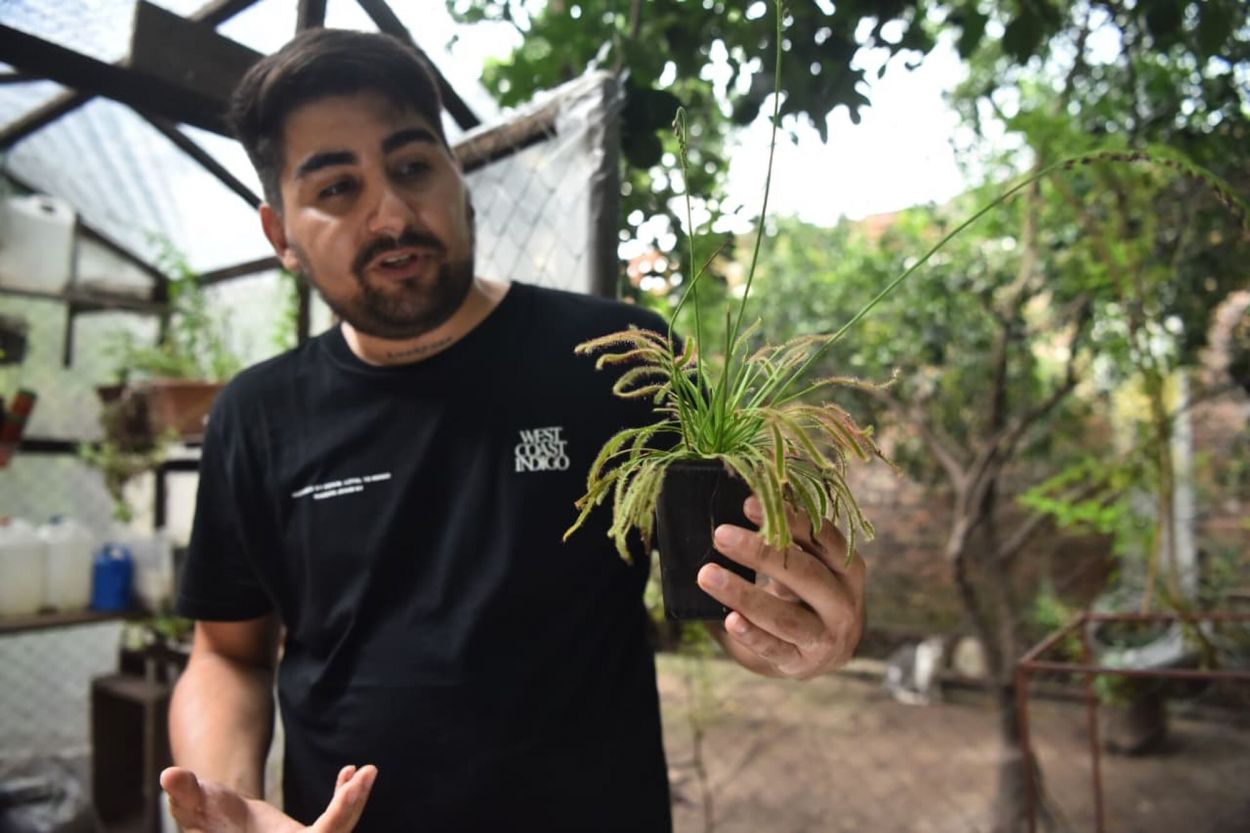 Una pareja de tucumanos produce plantas carnívoras en barrio El Bosque
