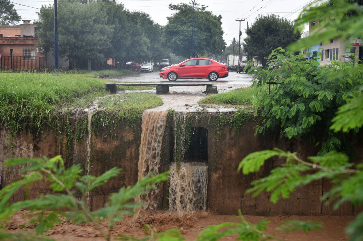 CAOS. Las ramas caídas complicaron la circulación.