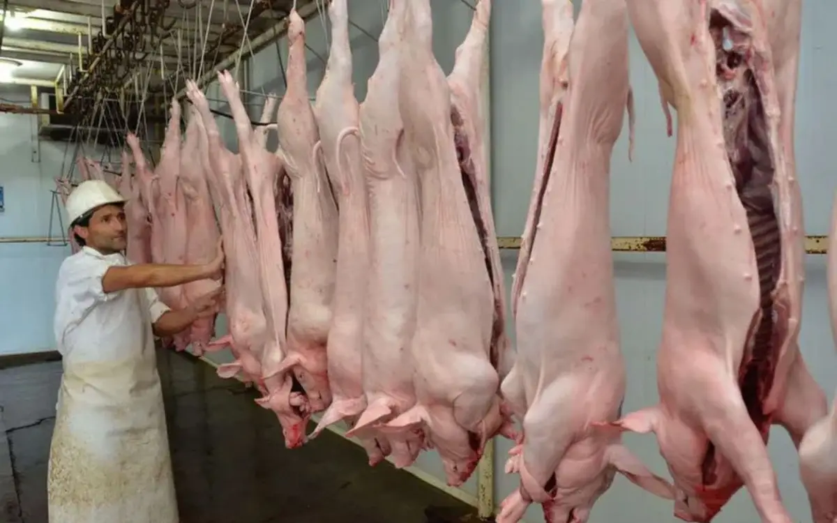 Creció el consumo y la producción de carne porcina