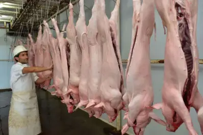 Creció el consumo y la producción de carne porcina