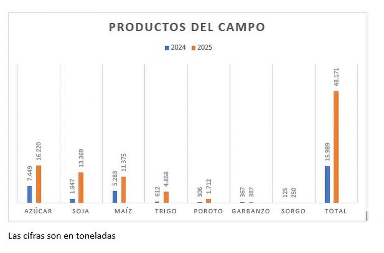 EL AGRO “EN NEGRO”. Las producciones del campo, en muchos casos, son las que más sufren retenciones por el transporte ilegal de mercadería.