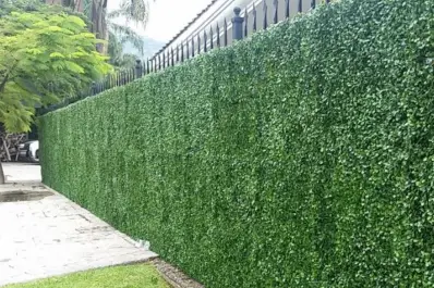 Los cercos vivos: buenos rivales de los ladrillos y las rejas