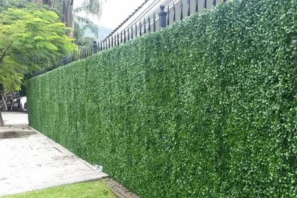 Los cercos vivos: buenos rivales de los ladrillos y las rejas