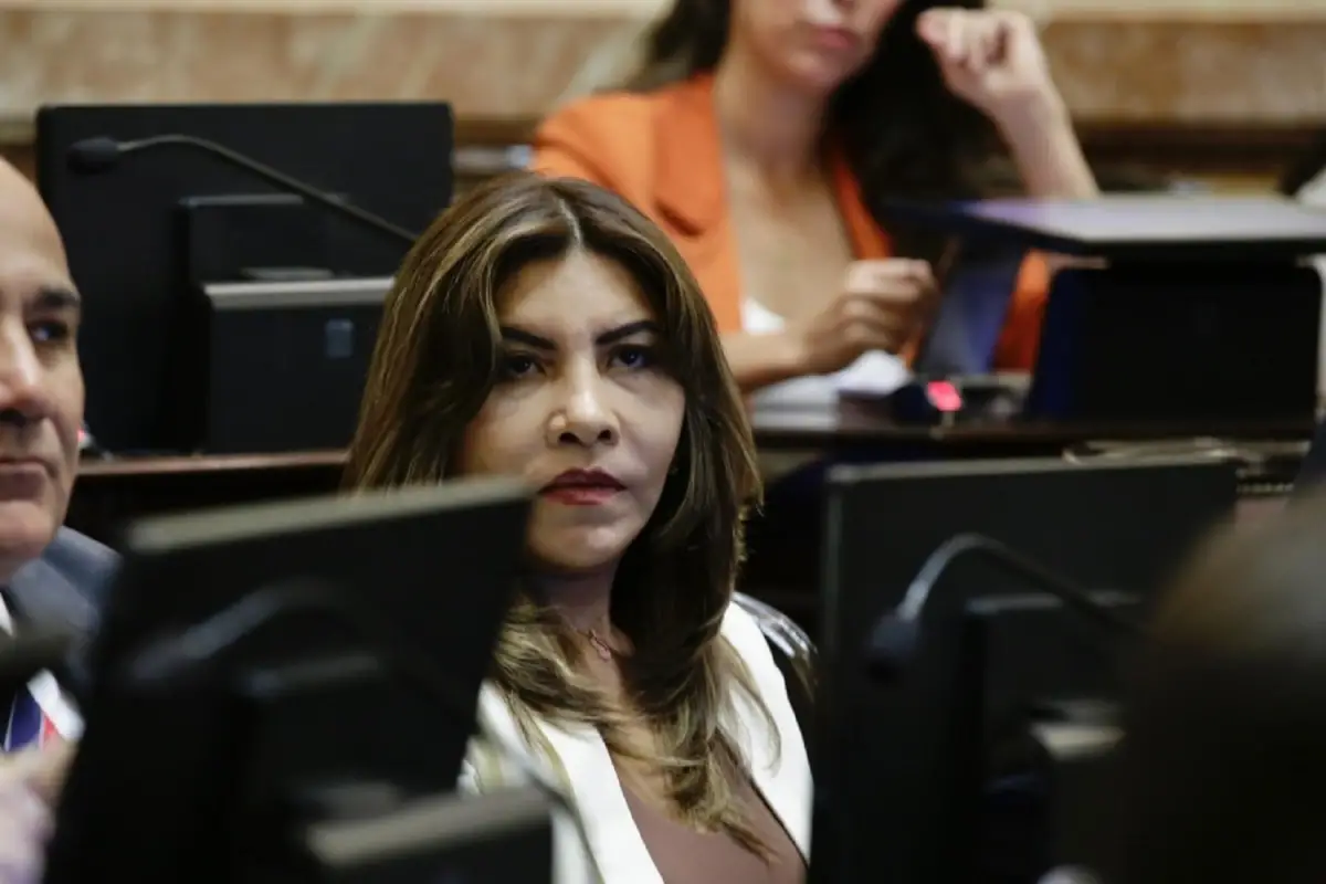 SENADO. Sandra Mendoza integraría una nueva bancada de cinco miembros.