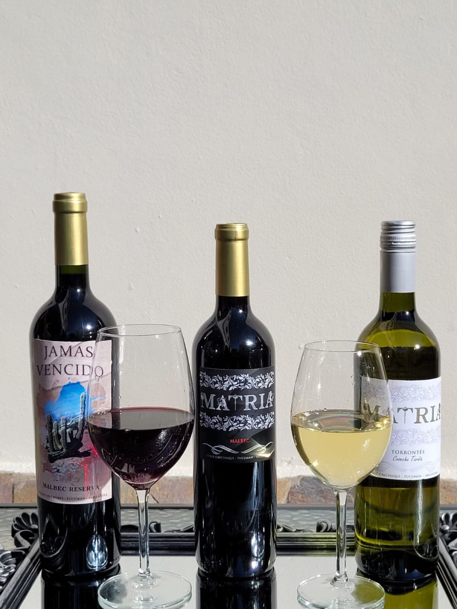 VARIETALES. Los vinos de la bodega Viñas del Chañar.