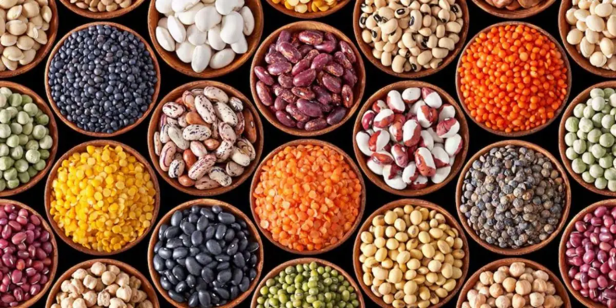 Día de las Legumbres, según la FAO