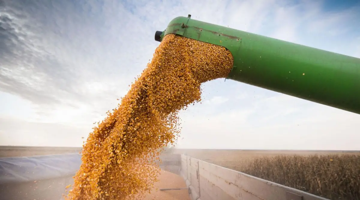 RÉCORD. Tras el salto en el incremento de las exportaciones, Argentina busca posicionarse en nuevos mercados.