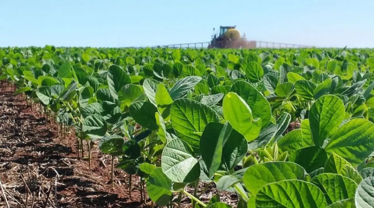 EL NIÑO. El período septiembre 2025-enero 2026 registró una fase fría.