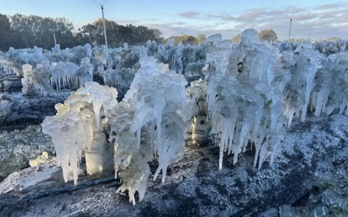 INCLEMENCIAS CLIMÁTICAS. Los productores de Florida intentaron resguardar cultivos con técnicas de protección, pero las medidas fueron insuficientes.