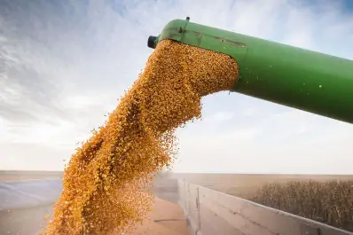 Balance positivo: el año cerró con un registro de exportaciones en alza