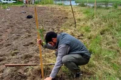 Árboles y crecientes: volver al origen