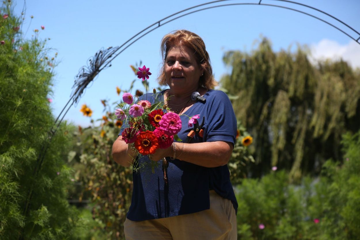 AUTOCORTE. El turista puede elegir las flores, cortarlas y llevárselas.