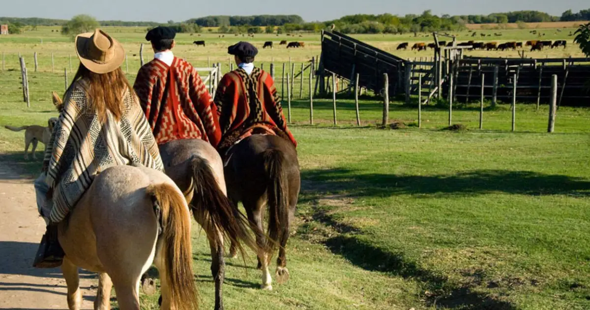 Un viaje al campo, la memoria y la identidad