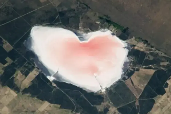 ¿Qué es el corazón rosa que encontró la NASA en Argentina y en qué provincia está?