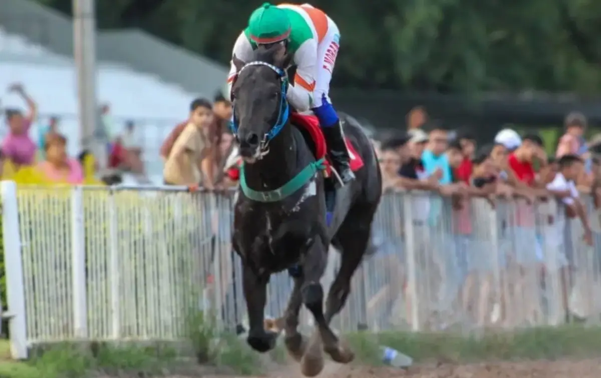 EN BUSCA DE MÁS TRIUNFOS. El zaino Suffok, que será conducido por Facundo “Tatú” Morán, será uno de los protagonistas en el especial de 1.500 metros que se disputará el próximo domingo.