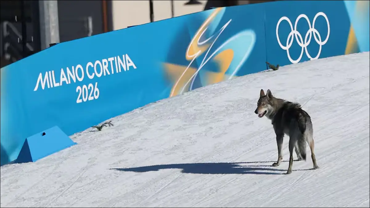 SORPRESA. Nazgul recorrió parte del trazado durante la clasificación del sprint por equipos femenino en Milán-Cortina 2026.
