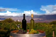 Colalao del Valle celebrará la Fiesta Provincial de la Vendimia 2026