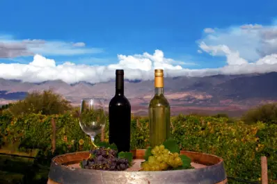 Colalao del Valle celebrará la Fiesta Provincial de la Vendimia 2026