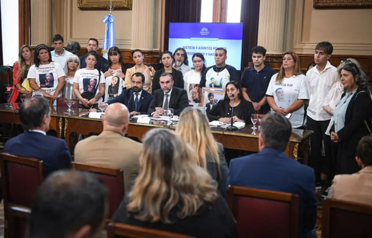 Régimen Penal Juvenil obtuvo dictamen en el Senado con fuertes testimonios de familiares de víctimas