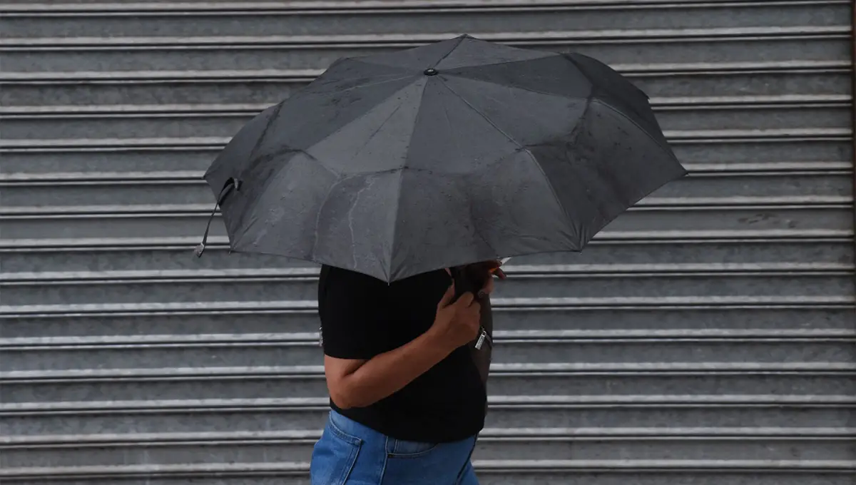 MOJADO. El fin de semana se esperan lluvias durante el sábado y el domingo en toda la provincia. 
