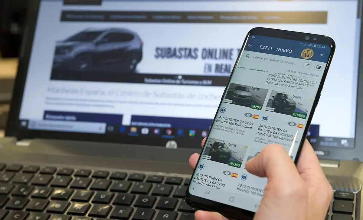 El sitio ofrece fechas y plazos para las subastas y detalles de los bienes ofrecidos.