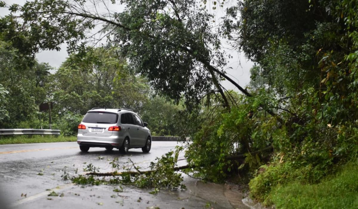 LA GACETA / FOTO DE OSVALDO RIPOLL.