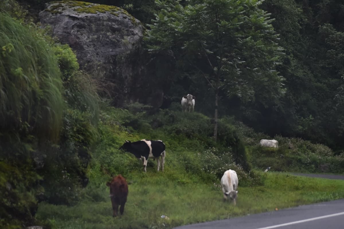 LA GACETA / FOTO DE OSVALDO RIPOLL.
