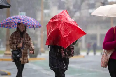 Temporal en Tucumán: caída de árboles y cables cortados por las lluvias de la madrugada