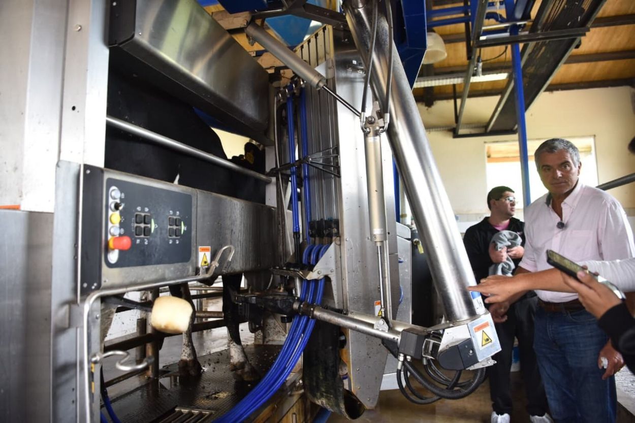 EL MÁS ALTO DEL MUNDO. El famoso tambo robotizado.