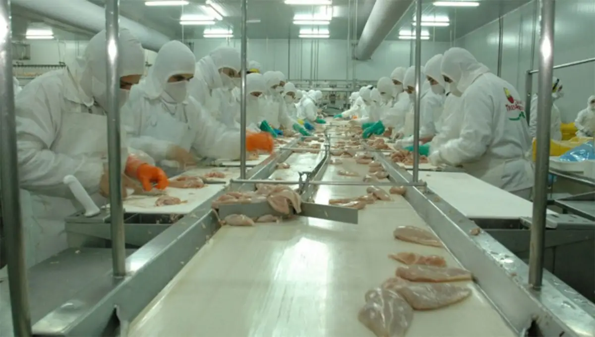 SITUACIÓN CRÍTICA. La empresa Granja Tres Arroyos, el mayor frigorífico avícola del país, analiza despedir a 450 trabajadores.