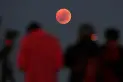 Eclipse y Luna de Sangre: cuándo será y desde dónde podrán verse